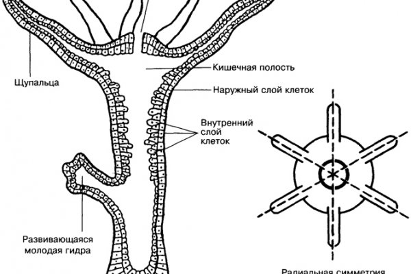 Ссылки на кракен com